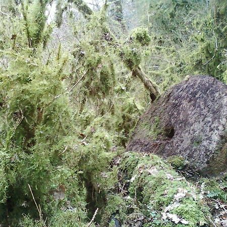 Gite De Charme Auvergne Cab'Ane Brousse Exteriör bild