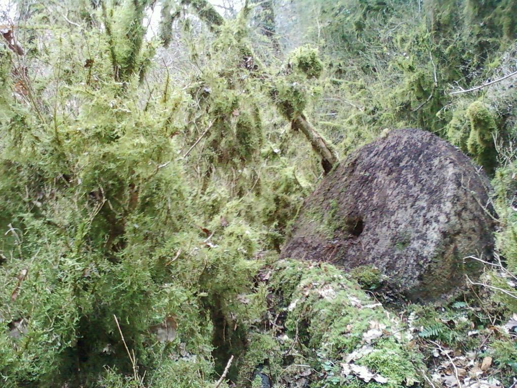 Gite De Charme Auvergne Cab'Ane Brousse Exteriör bild