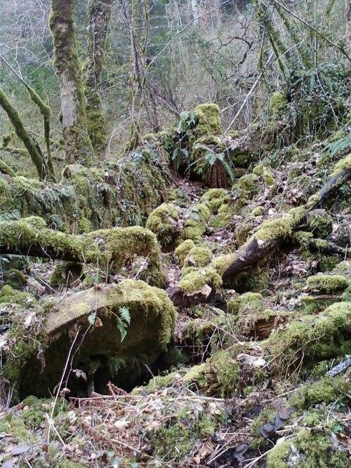 Gite De Charme Auvergne Cab'Ane Brousse Exteriör bild