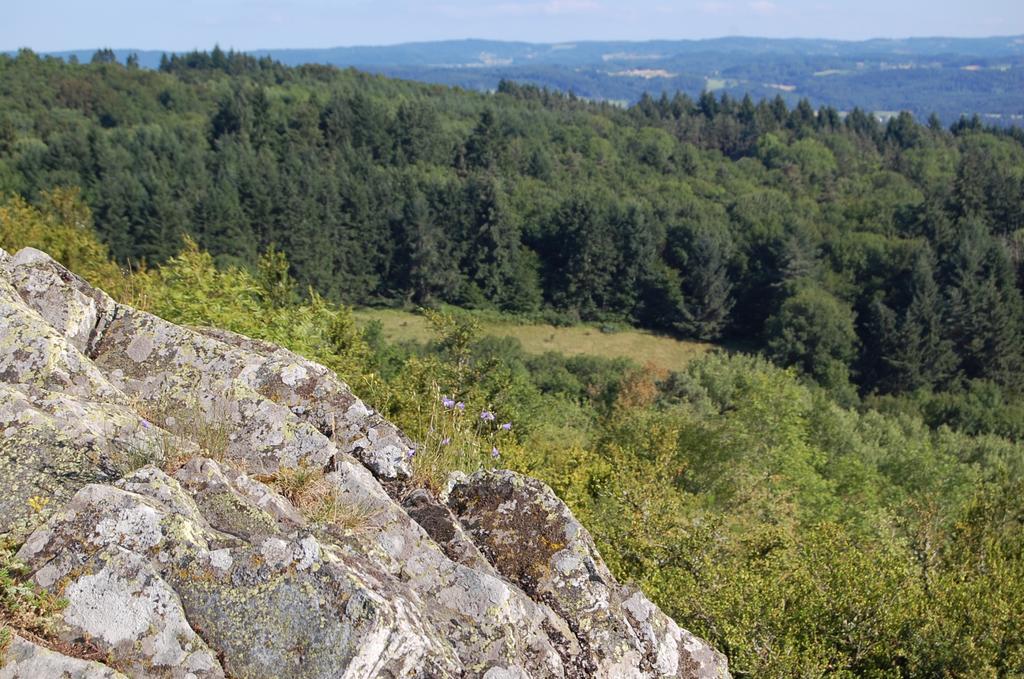 Gite De Charme Auvergne Cab'Ane Brousse Exteriör bild